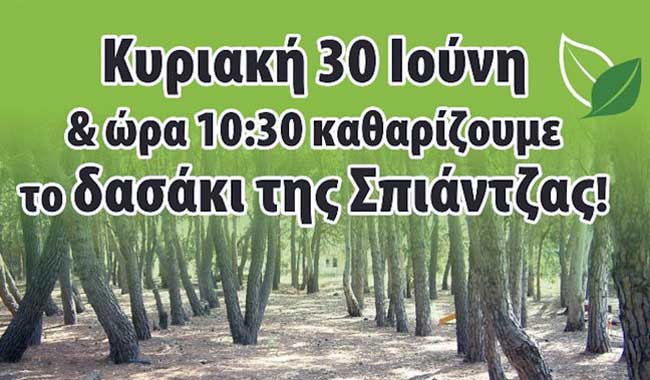 Δασάκι Σπιάτζα