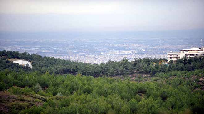 Δάσος