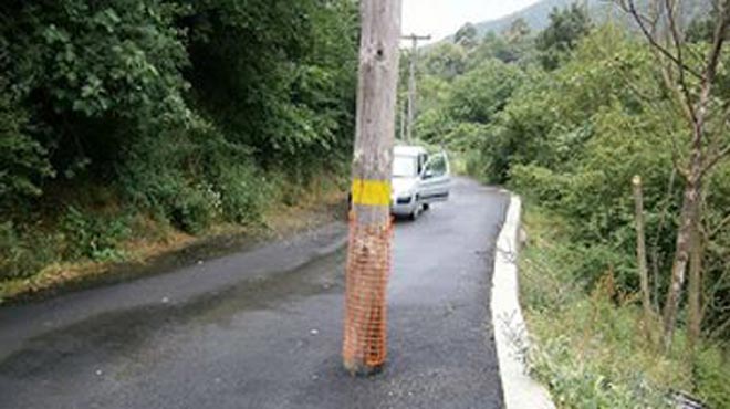 Φύτρωσε κολόνα