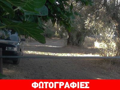 Λέσβος μπάρα