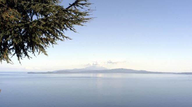 Νησί πώληση
