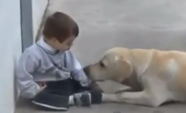 Παιδάκι σκύλος