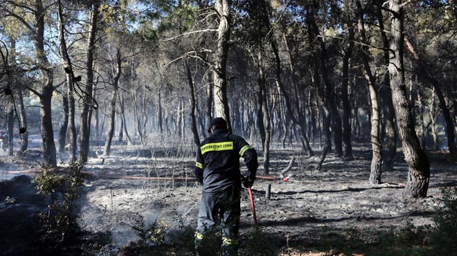 απαγόρευση κυκλοφορίας