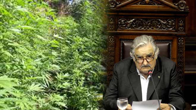 Ουρουγουάη Κάναβη