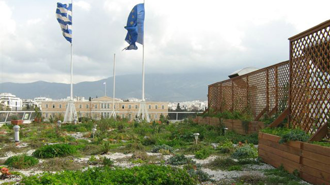 πράσινες ταράτσες