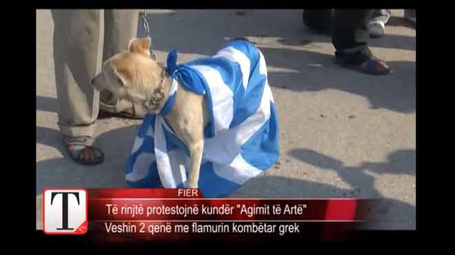 Σκυλιά ντυμένα με την ελληνική σημαία