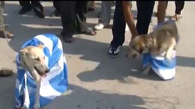 Σκυλιά ελληνική σημαία