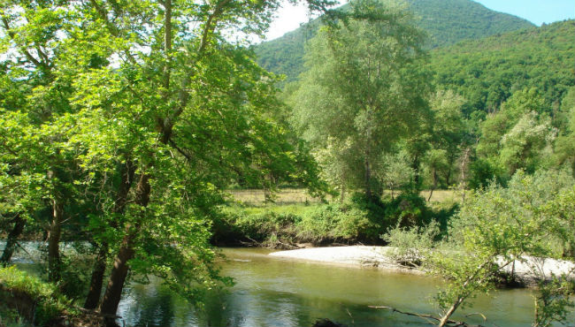 Νέστος
