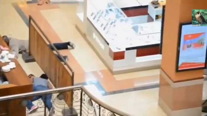 Ναϊρόμπι οικογένεια