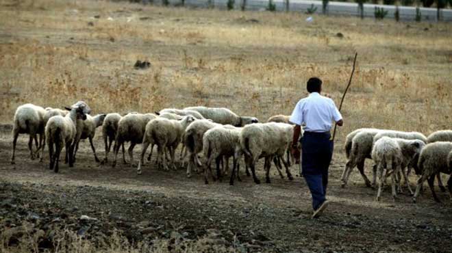 Κτηνοτρόφοι
