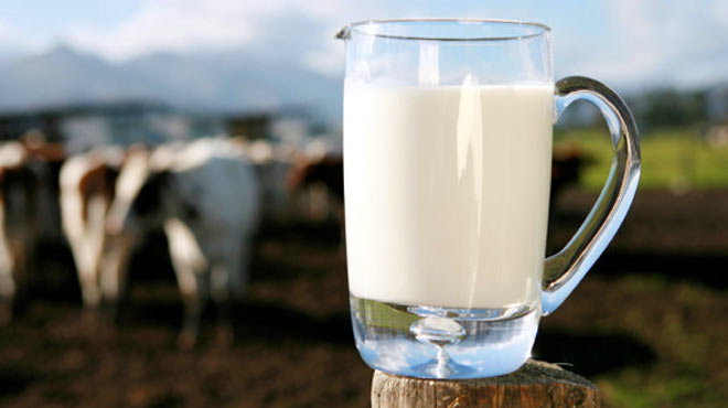 Γάλα