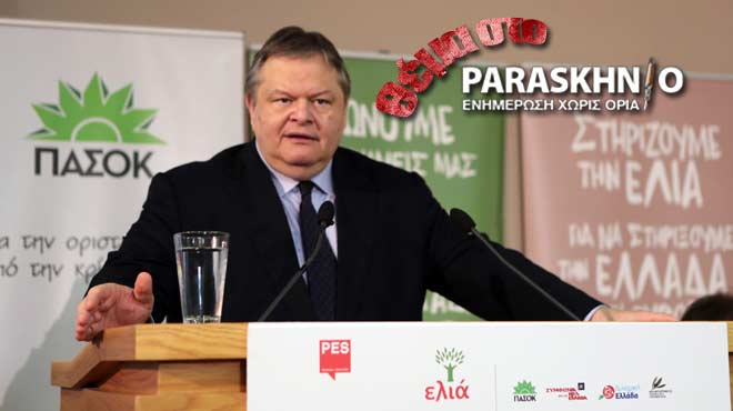Ελιά