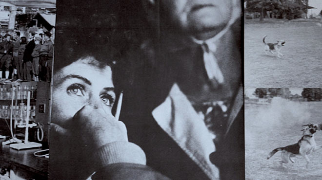 Marie Voignier
