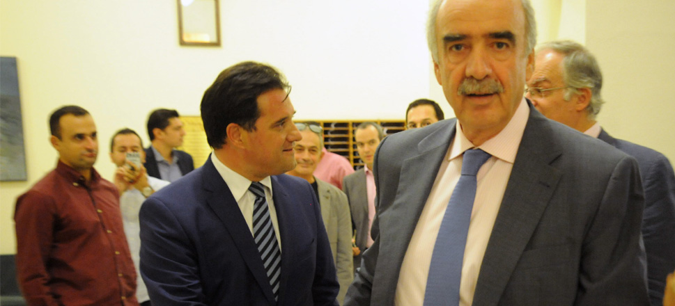 Γεωργιάδης Μεϊμαράκης